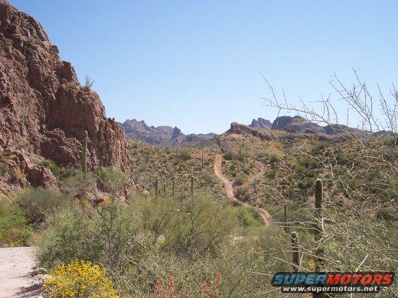 florence-wheeling-04042008-029.jpg Another scenery shot...