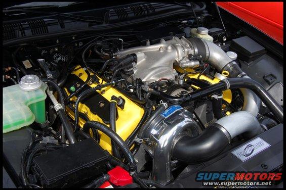 Engine bay with yellow valve covers, chrome supercharger, and "PROCHARGER" sticker