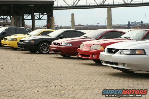 White Ford Mustang front view with a line of other Mustangs behind it
