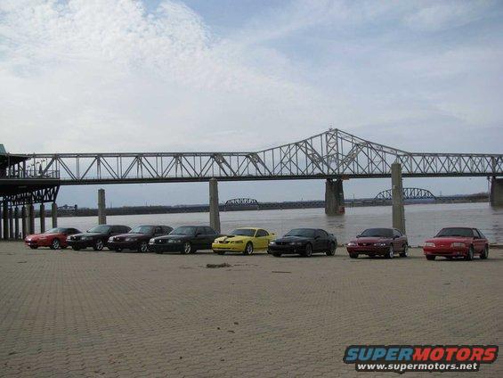 Several Ford Mustangs parked by a river with a bridge in the background