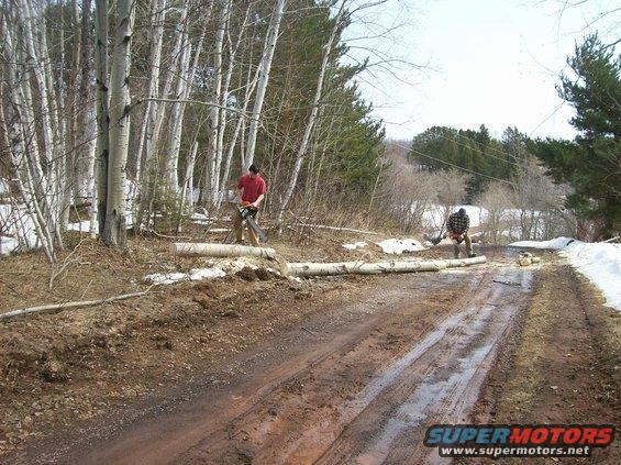 100_1115.jpg 