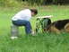 1978 Ford Bronco - A person and a German Shepherd are in a grassy outdoor area, with the person seated on a water cooler.