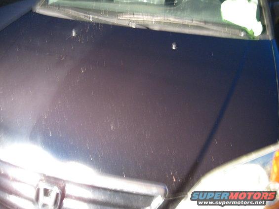 Dark car hood with water spots and a green cloth on the windshield