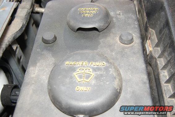 Engine bay fluid reservoirs with text 'RADIATOR COOLANT ONLY' and 'WASHER FLUID ONLY'