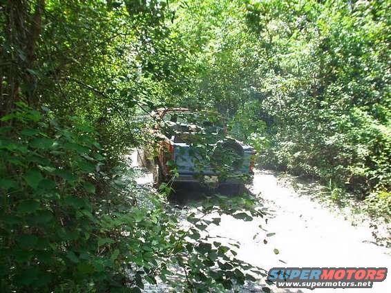 SUV driving through water on a dirt road, partially obscured by trees