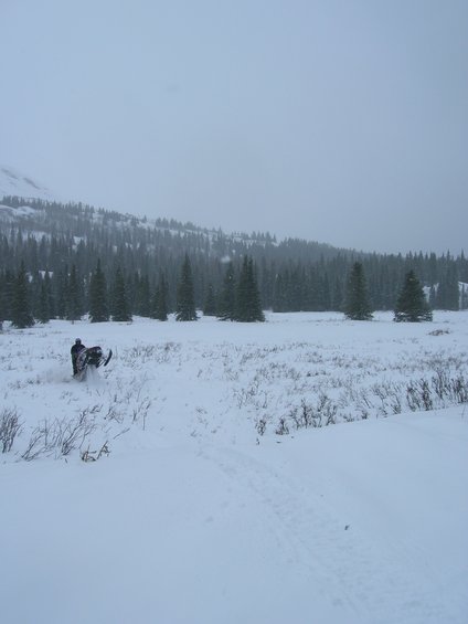 Snowmobile in a snowy field with trees and mountains in the background