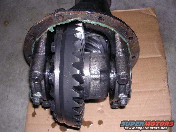 Differential gears with Supermotors.net logo