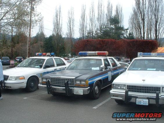 Three police cars parked in a lot. The middle car is dark with a blue stripe, the other two are white
