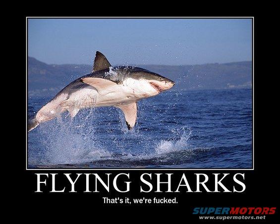 Shark leaping from ocean water with text "FLYING SHARKS" and "That's it, we're fucked."