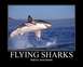 flyingsharks.JPG