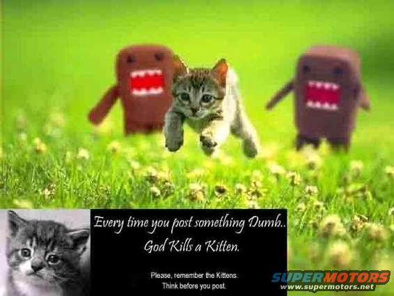Two Domo-Kun figures and a kitten in a grassy field with text overlay