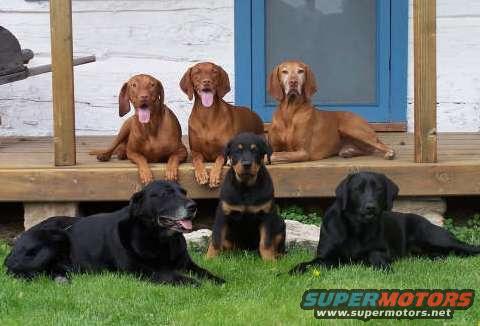 Group