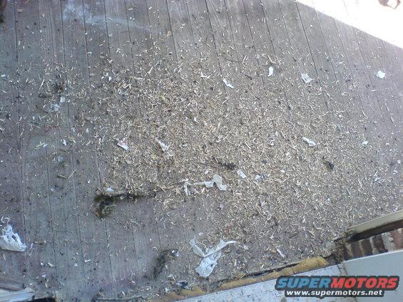 Wooden deck covered in wood shavings and debris