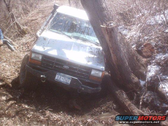 White 1990 Ford Ranger stuck between trees off-road