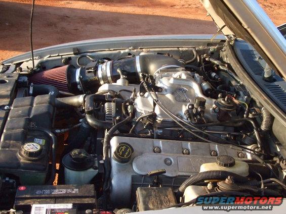 Silver 1999 Ford Mustang engine bay with aftermarket intake and cobra emblem on intake manifold