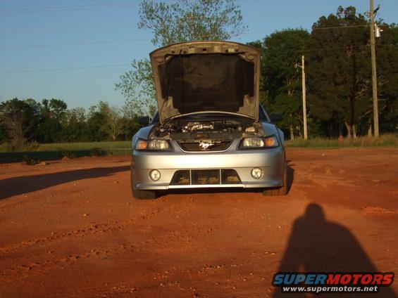 Silver 1999 Ford Mustang front view, hood open, parked on dirt