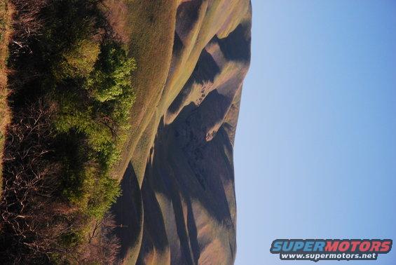Rolling hills with trees and a bright blue sky. Supermotors logo in the corner