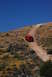 1995 Ford Bronco - A red SUV navigates a dusty trail through a dry, hilly landscape dotted with wildflowers.
