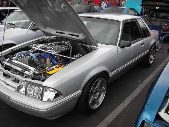 dscn1566.jpg 