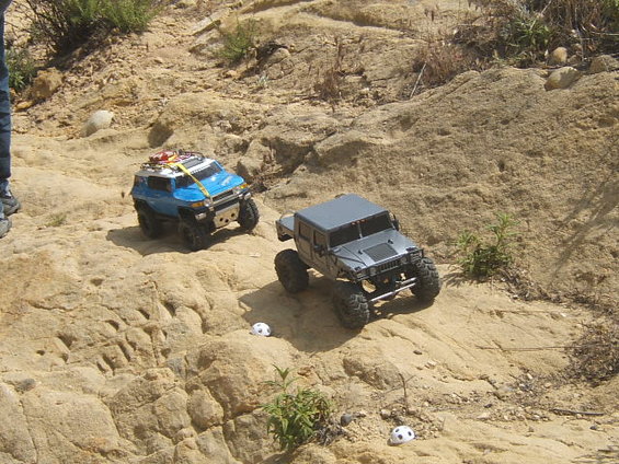 crawler-009.jpg 