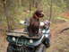 1998 Yamaha GRIZZLY 600 - My German Wirehaired pointer sitting on my four-wheeler.