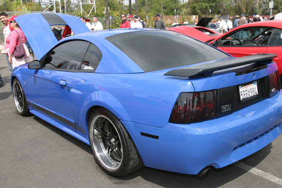 cax98402.jpg 