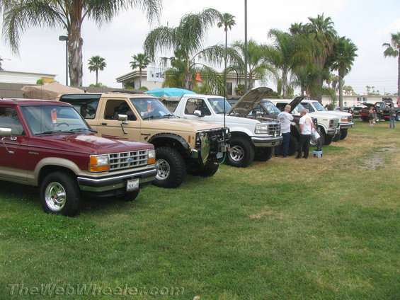 img_2242-copy.jpg