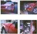 1991 Ford Mustang