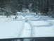 1988 Ford Bronco - A snowy forest road shows deep tire tracks, suggesting recent travel through the winter landscape.