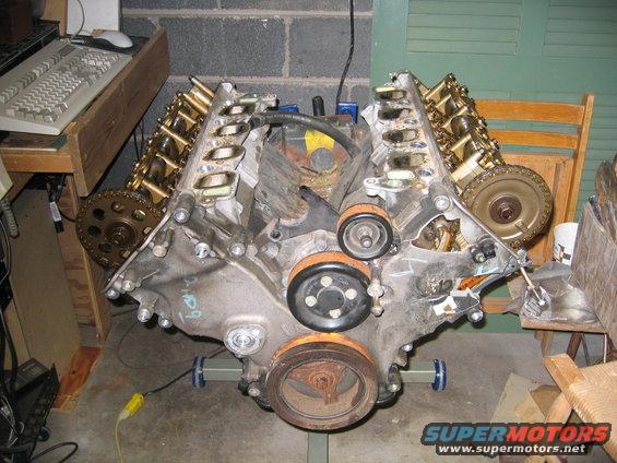 Engine with gold valve covers and timing gears