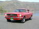 1965 Ford Mustang - Built in Sept. of 1964, one of the first fastbacks built. Factory disc brakes.