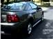 2001 Ford Mustang - 1 day old