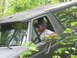 1989 Ford Bronco
