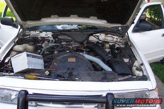 White 1996 Ford Crown Victoria engine bay with hood open, showing engine components and an Interstate battery box