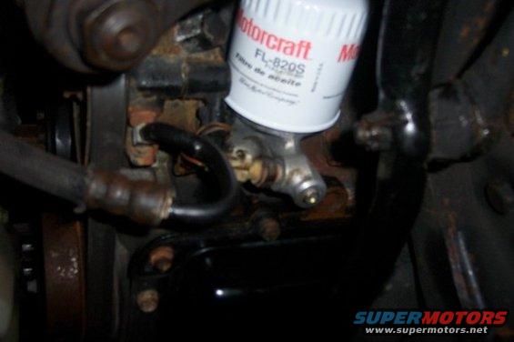 close-up of Motorcraft FL-820S oil filter and hoses