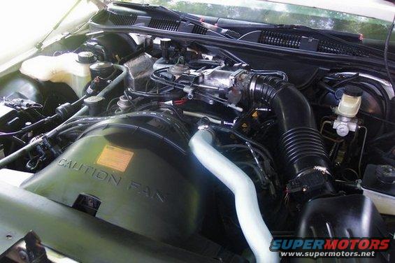 Engine bay of a 1996 Ford Crown Victoria, showing the air intake, coolant reservoir, and brake fluid reservoir