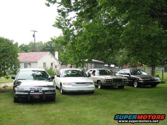 Four sedans parked on a lawn: a black 1996 Ford Crown Victoria, a white 1996 Ford Crown Victoria, a tan sedan, and a black sedan