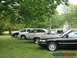 1996 Ford Crown Victoria - Several sedans are parked side-by-side on a green lawn, with trees providing shade.