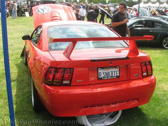 img_2396-copy.jpg