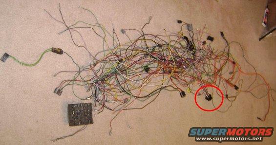 wire-nightmare.jpg Wire Nightmare