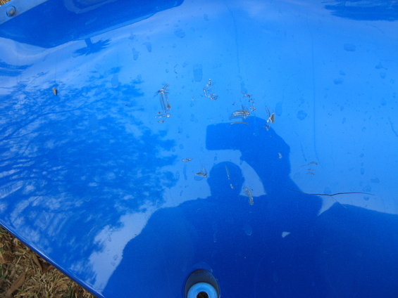 Blue motorcycle fairing with scratches and a crack, reflecting trees and a person taking the photo