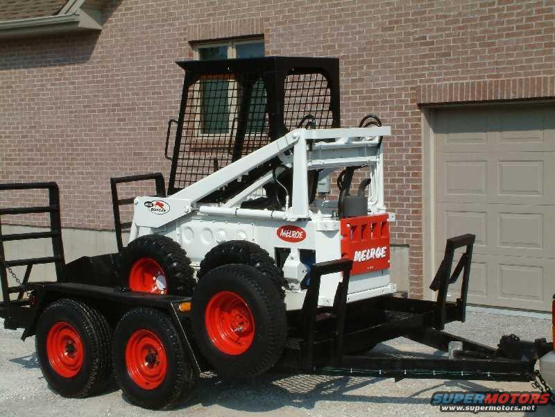 bobcat.jpg