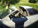 1997 Ford Probe