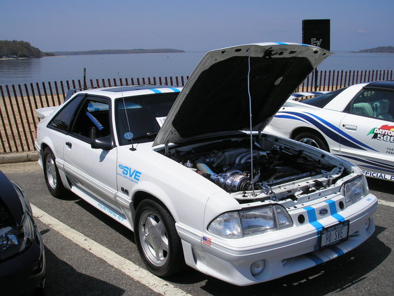 White Ford Mustang SVT with hood open, blue stripes, and '90 SVE plate