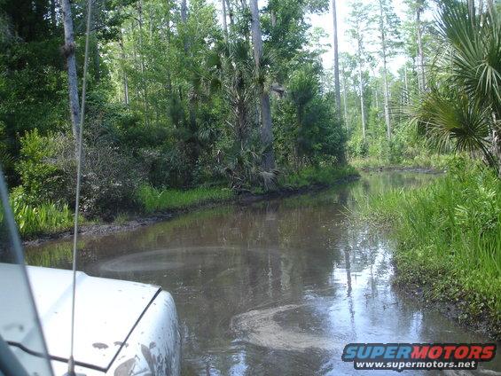 White vehicle driving through a muddy, swampy area with trees and water