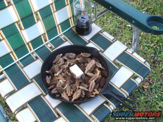 morels for supper