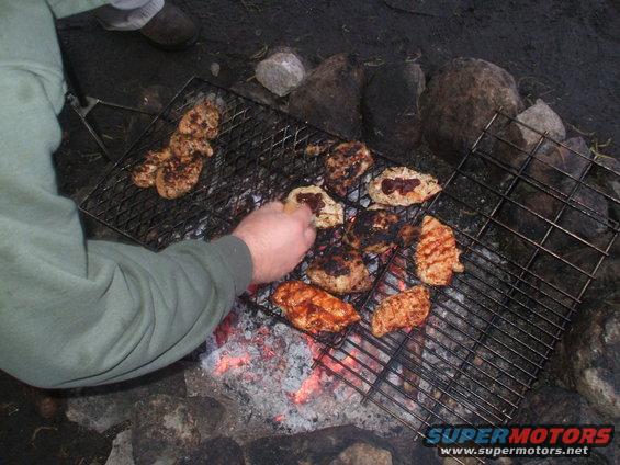 mmmm....chicken...
