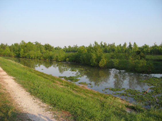 Canal with lush green vegetation along the banks and floating plants in the water under a clear sky