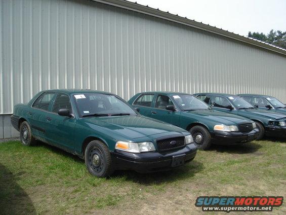 Green 2003 Ford Crown Victoria sedans parked in a row, front view