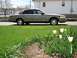 1999 Ford Crown Victoria photo